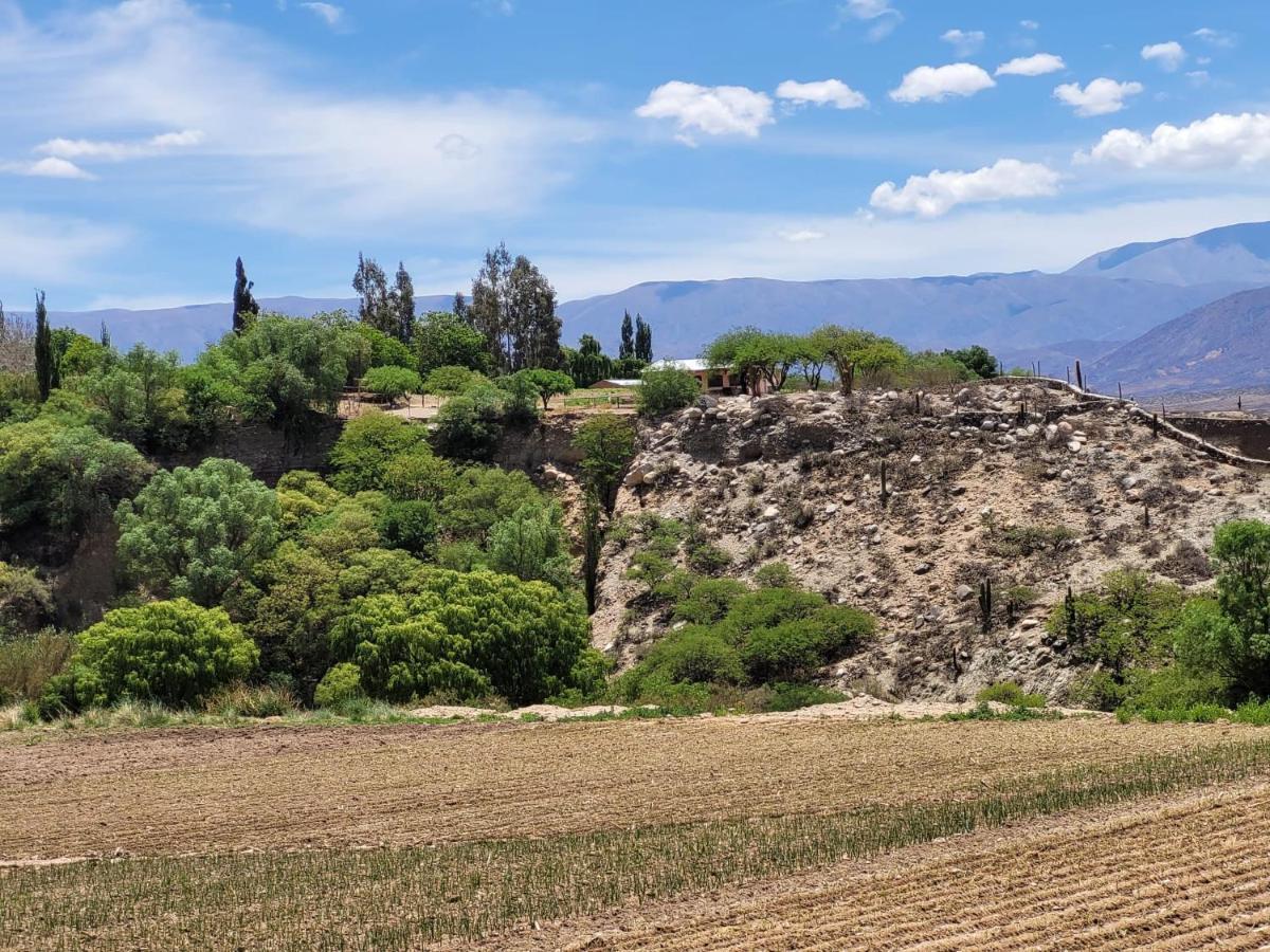 Casa De Campo Huaka Huasy Cachí Εξωτερικό φωτογραφία
